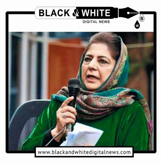 PDP Chief Alleges 25,000 'Backdoor Appointments'; No Formal Complaint Filed, Questions Raised Over Lack of Investigation