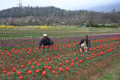 India’s Horticulture Sector Set For Growth As Production Tops 3,777 Lakh Tonne