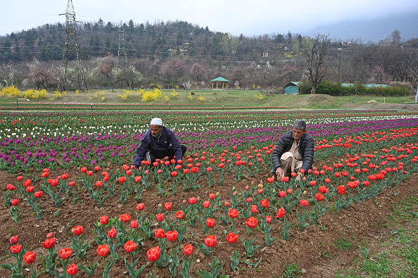 India’s Horticulture Sector Set For Growth As Production Tops 3,777 Lakh Tonne