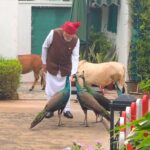 Special, As Always: PM Modi Shares Heartwarming Daily Routine With ‘Friends’