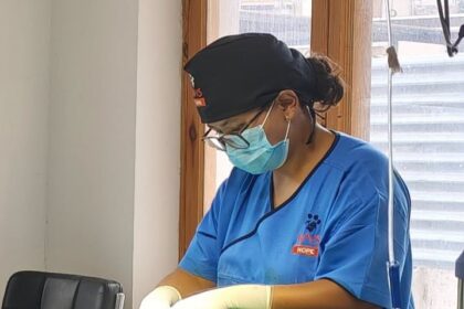 Animal Husbandry Department, Leh Conducts Week-Long Veterinary Training in Collaboration with WVS Task-force